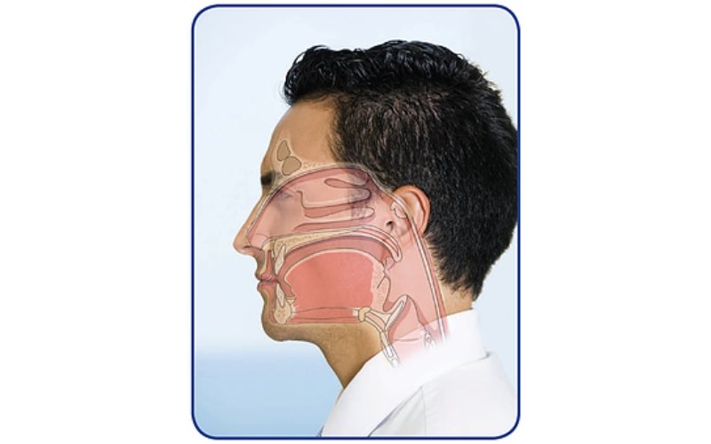 Series 3 Interactive Online Course – Successful Integration of Dental Sleep into your Practice – Jeffrey S. Haddad